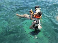 10294475_776060959085873_3587100332161002292_n