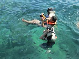 10294475_776060959085873_3587100332161002292_n