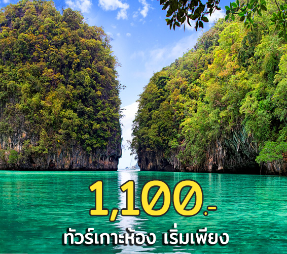 เกาะห้อง1100