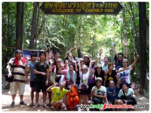 267864_235953023096672_7819157_n