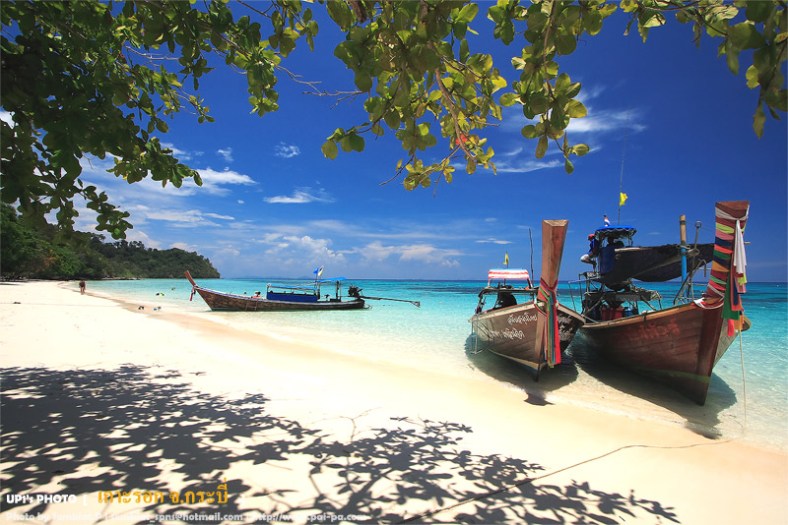 เกาะรอก