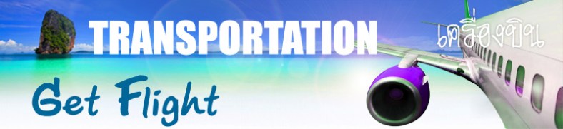 banner-transfer-flight