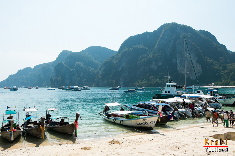 1389959446-DSCF3242-o