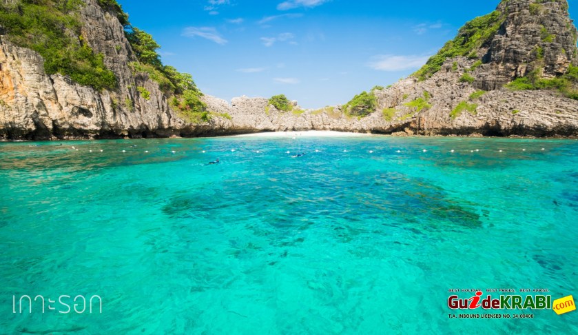 เกาะรอก