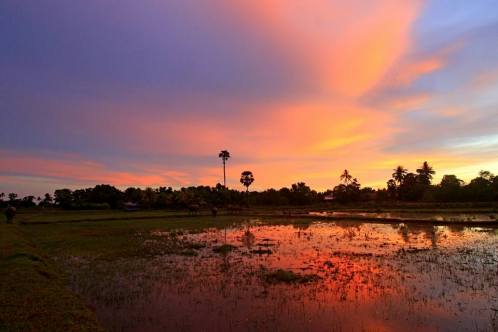 18740576_1046556548808909_6254530920168179258_n