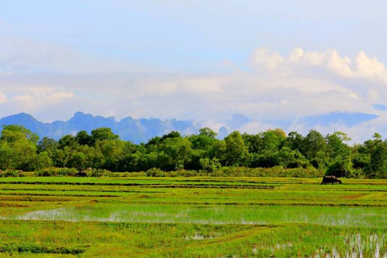 20915262_1098758423588721_6480768582323568914_n