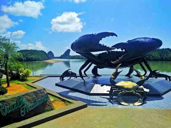 19206159_1556466894397464_935862304_n