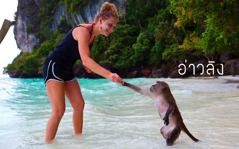 อ่าวลิง