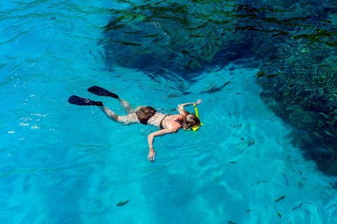 18198473_703660996471351_3893261140803311107_n