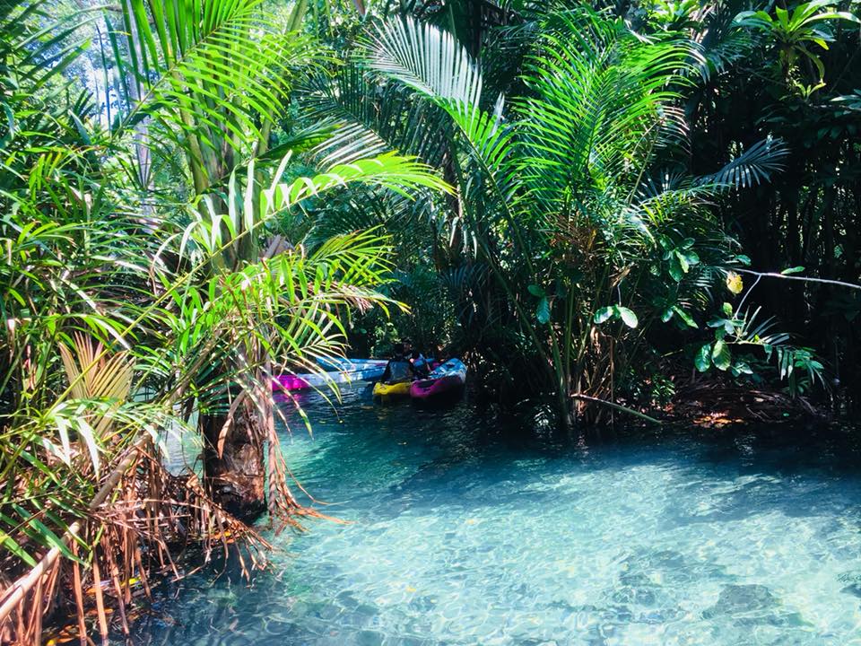 28166495_1535674073196869_1951548168679062761_n