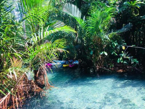 28166495_1535674073196869_1951548168679062761_n